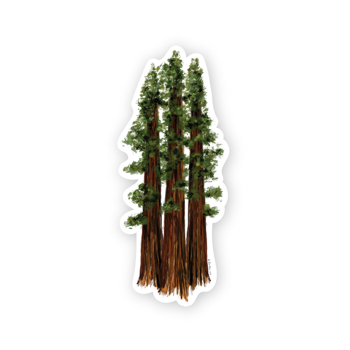 redwood tree rubber stamp Redwood Trees Sticker